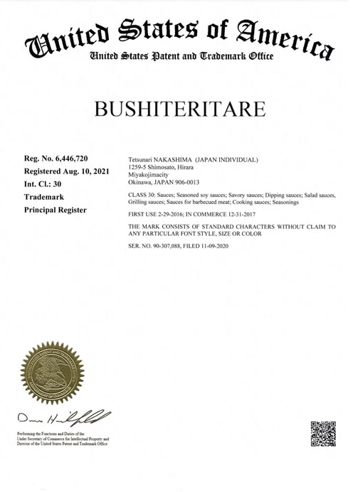 united states patent and trademark bushiteritare